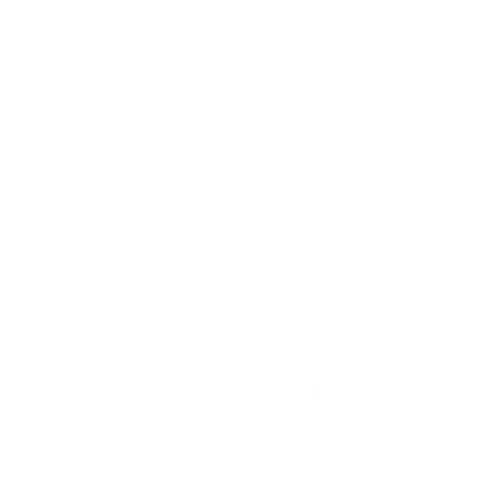 CHATEAU-DE-HONTAMBERE